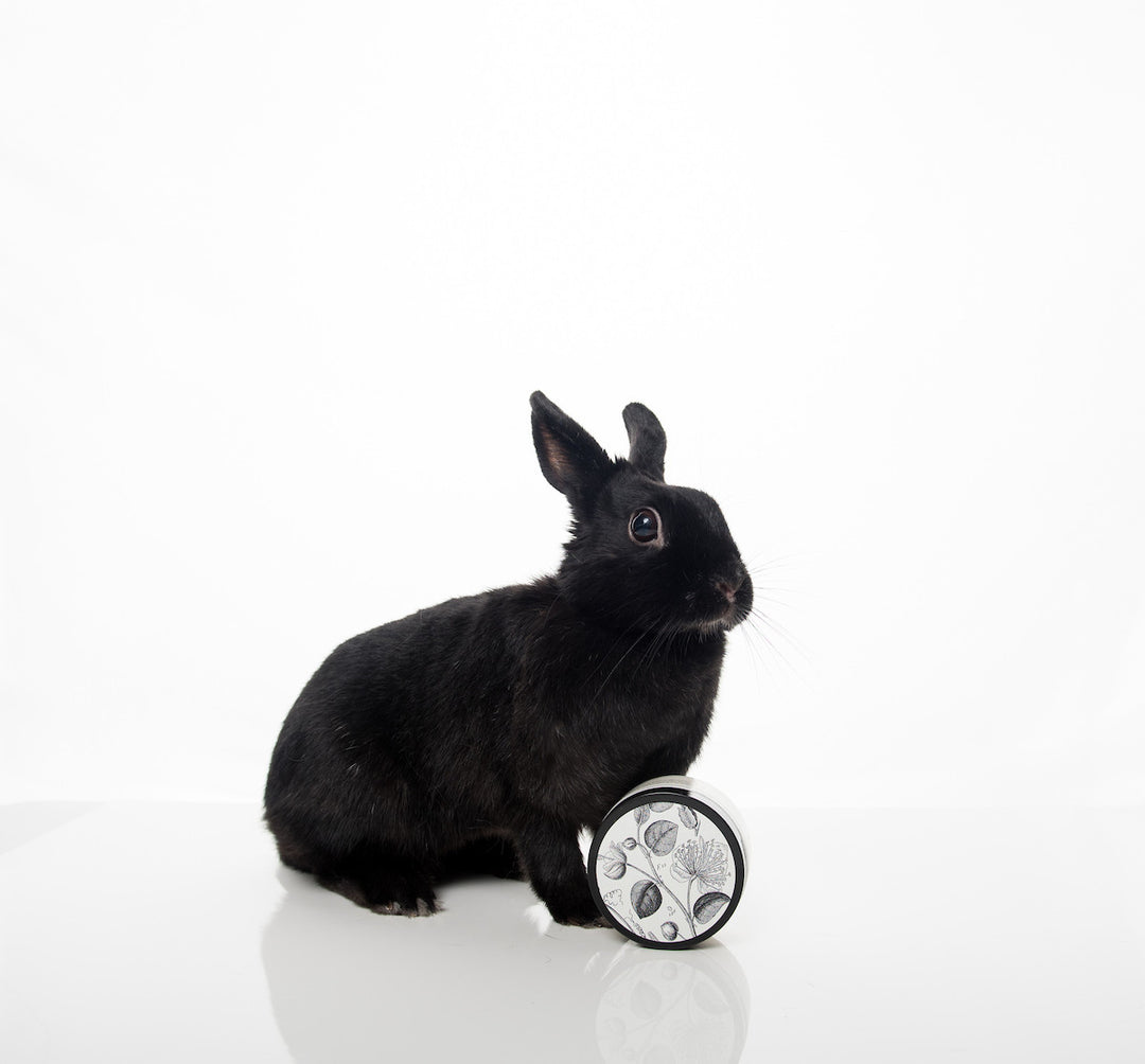 A small black rabbit sitting on a white surface, next to a round container with black and white leaf designs. The background is plain white.